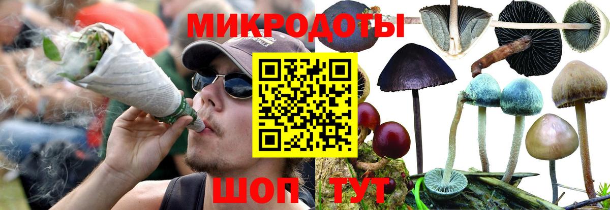 Псилоцибиновые грибы мухоморы Прокопьевск