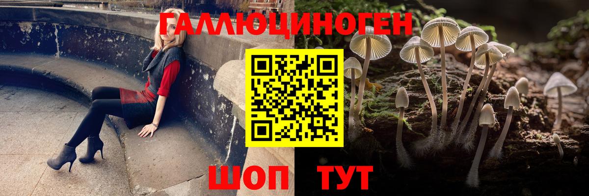Прокопьевск  Галлюциногенные грибы Cubensis  купить наркотики цена  Вход с VPN 