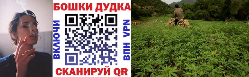Каннабис Amnesia Прокопьевск